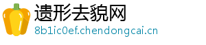 遗形去貌网